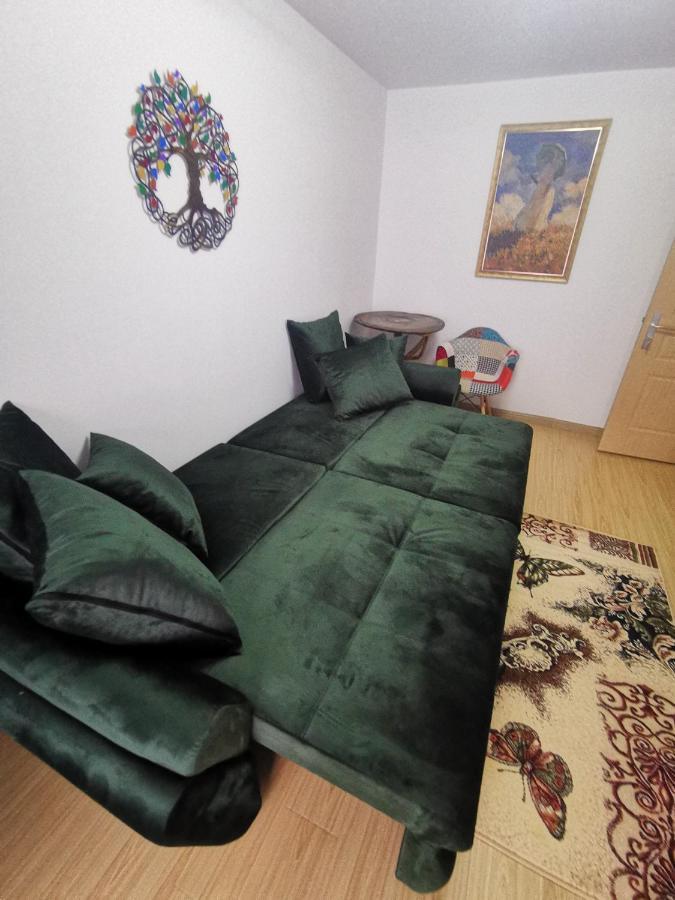 Mister Guest Lejlighed Nehoiu Eksteriør billede